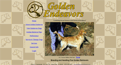 Desktop Screenshot of goldenendeavors.com